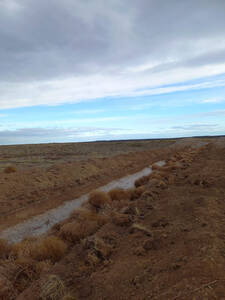 Campo En Venta En Viedma. 300 Has A Desarrollar