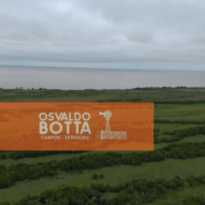 Campo En Venta Ganadero 420Has En Magdalena Ba
