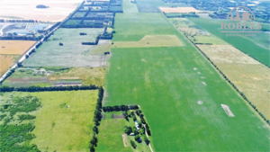 Mar Del Plata - 88 Has Sobre Asfalto. Agricola