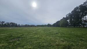 Campo en Venta Gral Gido- Pcia de Buenos Aires 1.162Has