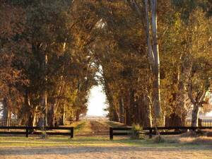 Campo en Venta -Las Flores-Pcia de Buenos Aires- 600Has