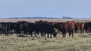 Campo en venta- Localidad de Pila_  Sup 1560has