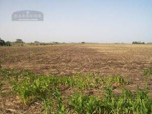 Campo En Venta. Magdalena. Bs. Aires. 50 Has.