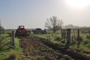 Campo en Venta Mixto 402 Has. Rio Negro