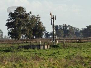 Campo En Venta. Roque Perez. Bs. Aires. 57 Has. Mixto