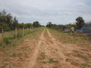 Chamical (La Rioja) 5000 Has