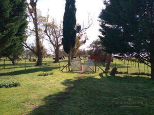 Campo En Veta En Madariaga, Bsas 506 Has. Mixto