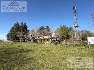 Campo Ganadero 75, 5 has. Chascomús, Provincia de Buenos Aires