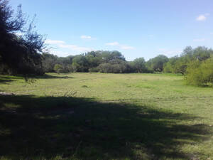 Campo Ganadero 256 Hectareas