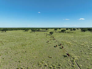 Campo Ganadero - Arizona 2307 Has