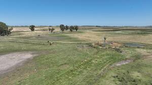 Campo Ganadero - Carlos Casares 785 ha