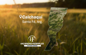 Campo Ganadero Con Apoyo Agrícola. 1223 Has.