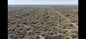  Campo ganadero de 1600 Ha con Escritura 