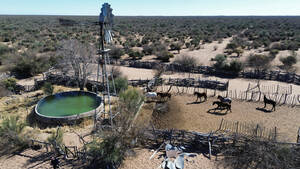 Campo Ganadero De Recría En Venta - Lavalle , Mendoza