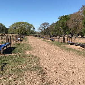 Campo Ganadero En Corrientes
