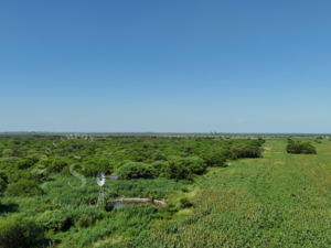 Campo Ganadero En Producción. Sobre Ruta. Vera, Sta Fe