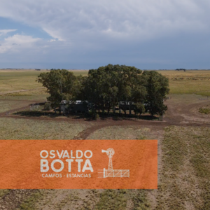 Campo Ganadero En Venta 406Has Villa Iris, Buenos Aires