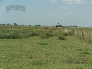 Campo en Venta Ganadero 76 has Ranchos