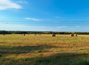 CAMPO GANADERO EN VENTA – 94 HA | A 40 KM DE PARANÁ