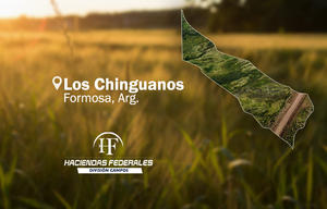 Campo Ganadero, Formosa - 2.408 Ha.