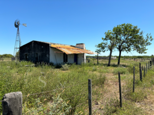Campo Ganadero. La Gallareta, Santa Fe. 800 Hectáreas.