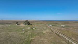 Campo Ganadero - Pila 1409 ha