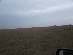 Vendo Campo En Cordoba Chilibroste Campo Ganadero