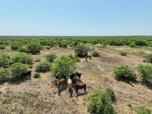 Campo Ganadero - San Martin N2 7055 Has