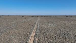 Campo Ganadero - Santa Isabel 20000 ha