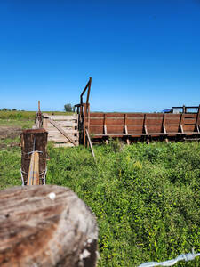 Campo Mixto 120 Hectareas