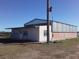 Campo Mixto 145 Hectareas