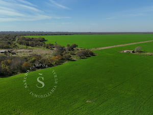 Campo Mixto. 3341 ha. Santa Fe.  