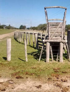 Campo Mixto 490 Hectareas