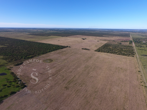 Campo Mixto. 687 ha. San Justo, Santa Fe.