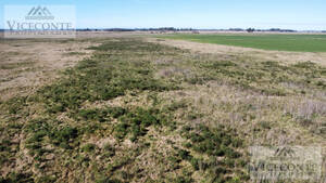 Campo Mixto 92,5 Has, Ruta 6 Y 210, San Vicente, Bs As.