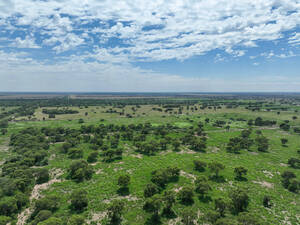 Campo Mixto - Chalacea 278 Ha