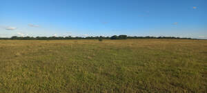 Campo Mixto De 100 Hectareas