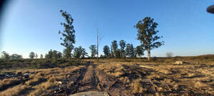 Campo Mixto De 30 Hectareas