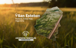 Campo mixto de 4.200 ha en Federal, Entre Ríos