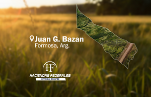Campo Mixto En Juan G. Bazán 5.797 Hectáreas