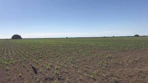 Campo Mixto En Venta 2353 Ha La Cautiva