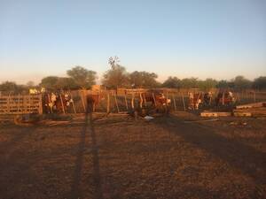 Campo Mixto En Venta 3688 Ha San Luis
