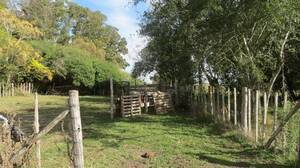 Campo en Venta Mixto 37 has General Mansilla