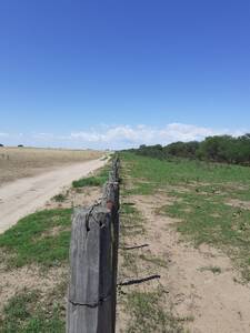 Campo Mixto En Venta 996 Ha Fraga