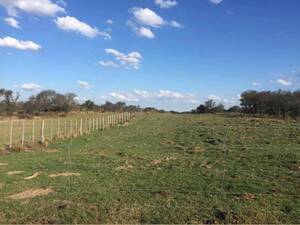 Campo Mixto En Venta 9965 Ha Unión
