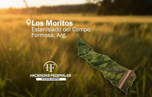 Campo mixto en venta en Formosa. 8.263 ha. Sobre RP 24