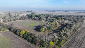 Campo Mixto - Gobernador Sola 454 ha