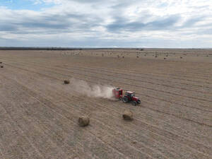 Campo Mixto - Las Barrancas 2170 Has