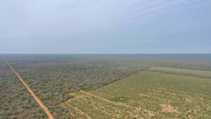 Campo Mixto - Las Bateas 1630 Has