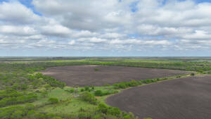 Campo Mixto - Maria Grande 526 ha